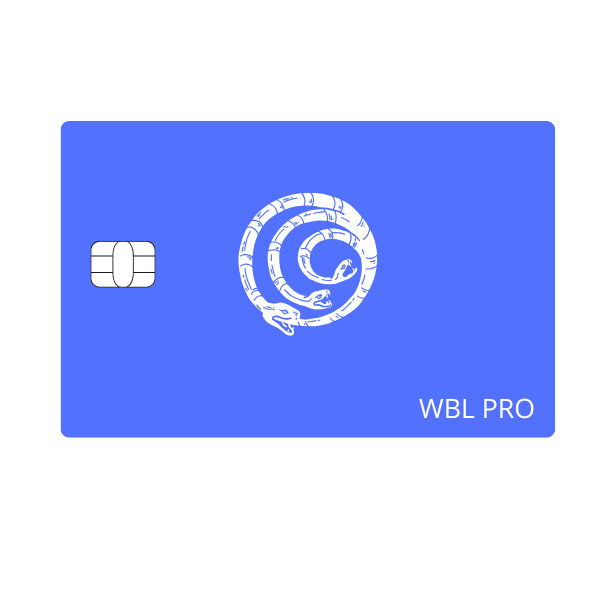 Webull Pro